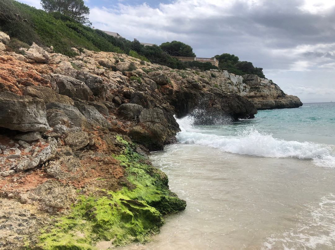 Cala Anguila-马纳科尔必去景点