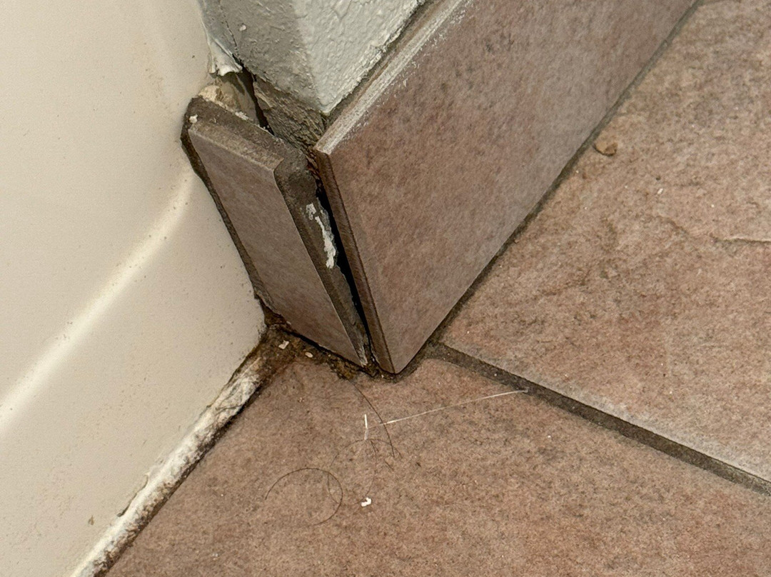 Days Inn & Suites by Wyndham Moncton主图