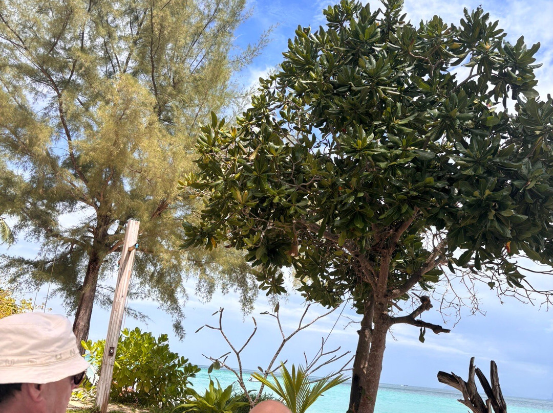 玛雅雷海滩度假酒店主图