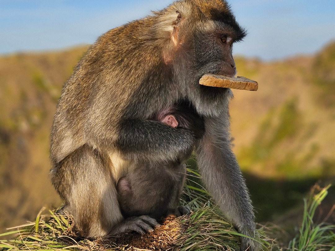 Bali Rêve-达巴南必去景点