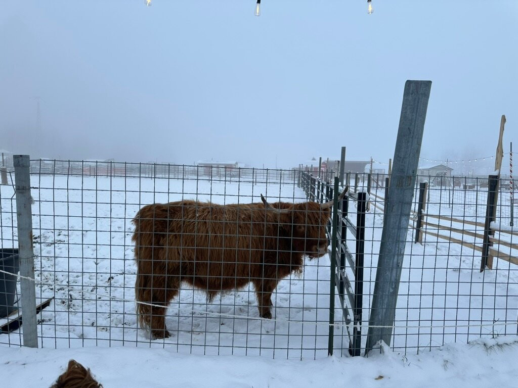 Reindeer Farm-帕尔默必去景点