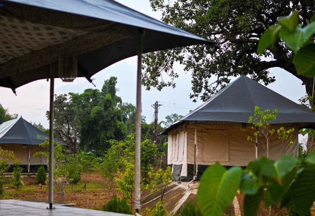 Bundeli Camps And Resorts, Panna