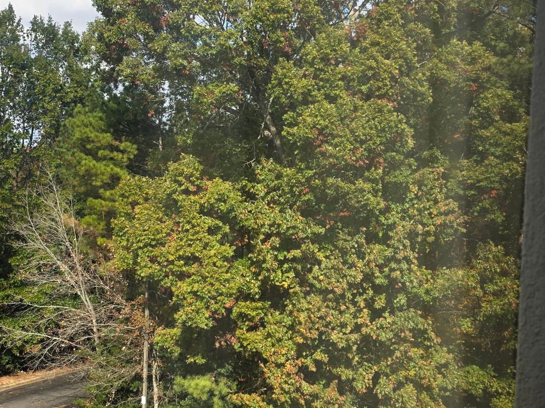 诺克罗斯凯悦居所主图