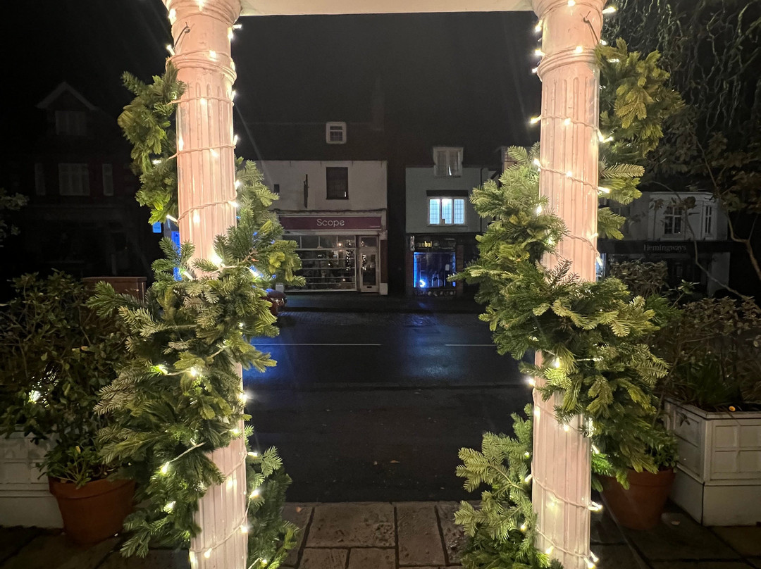 The Georgian, Coppa Club主图