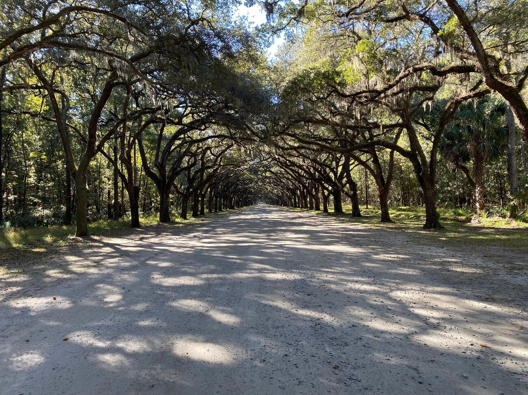 Wormsloe Historic Site-萨凡纳必去景点