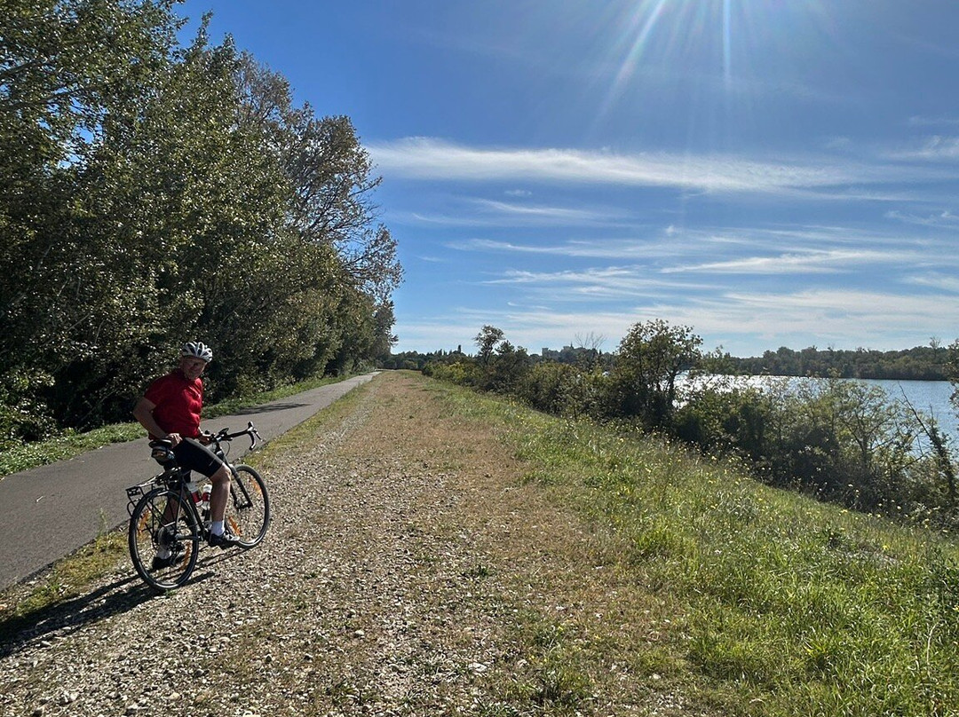 South Spirit-阿维尼翁必去景点