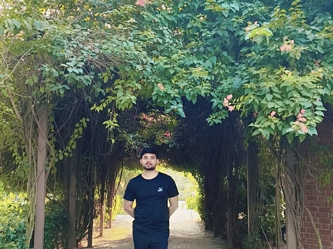 Mango Tree Resorts主图