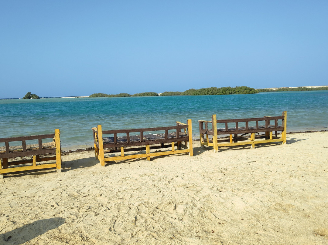 El Qulan Mangrove Forest-马萨阿拉姆必去景点