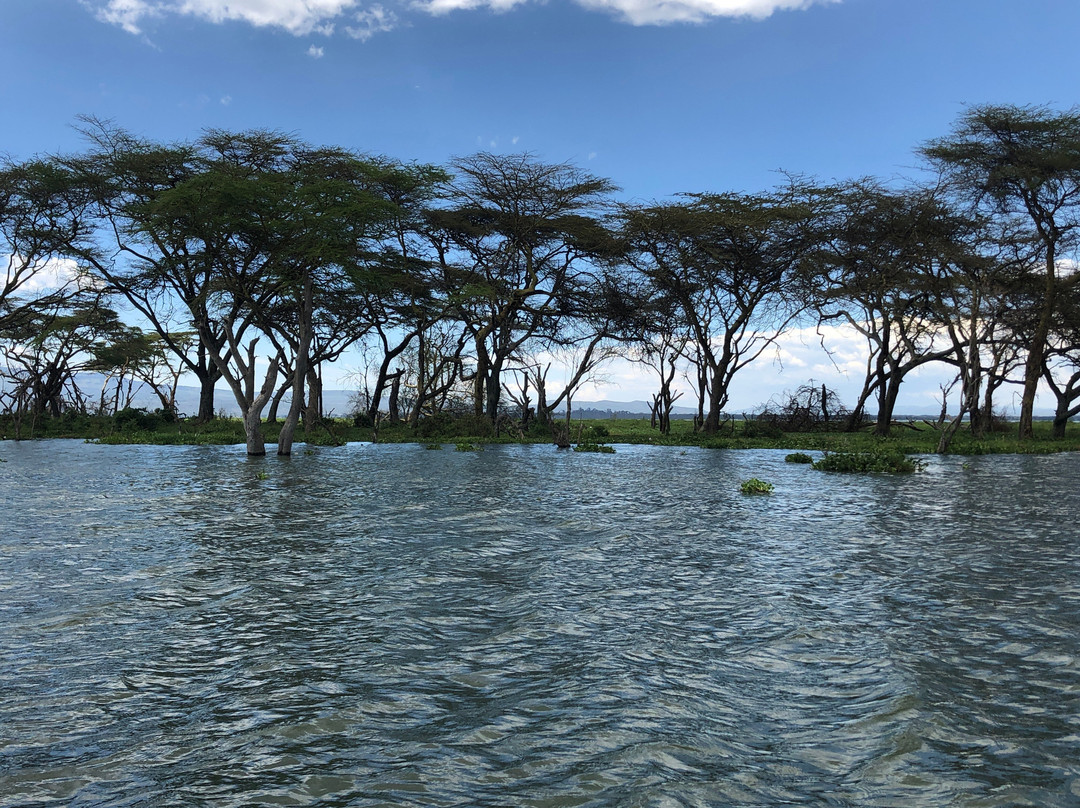 Lake Naivasha-奈瓦夏必去景点
