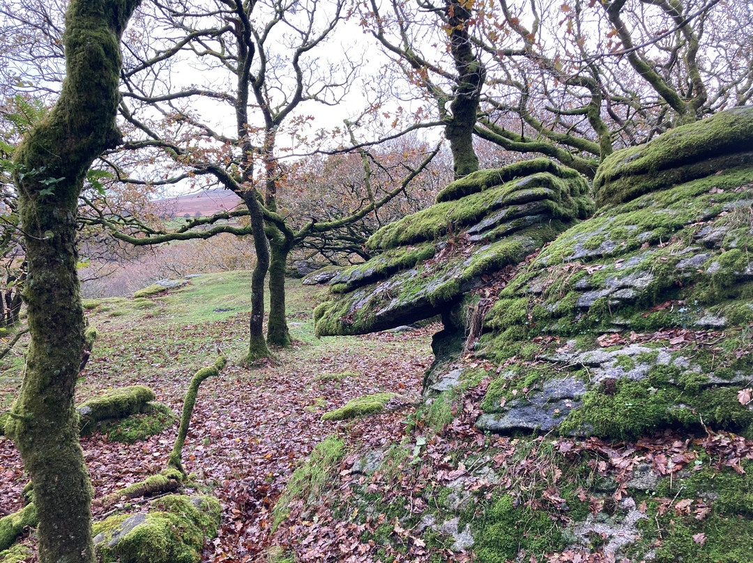 Dartmoor's Daughter-达特穆尔国家公园必去景点