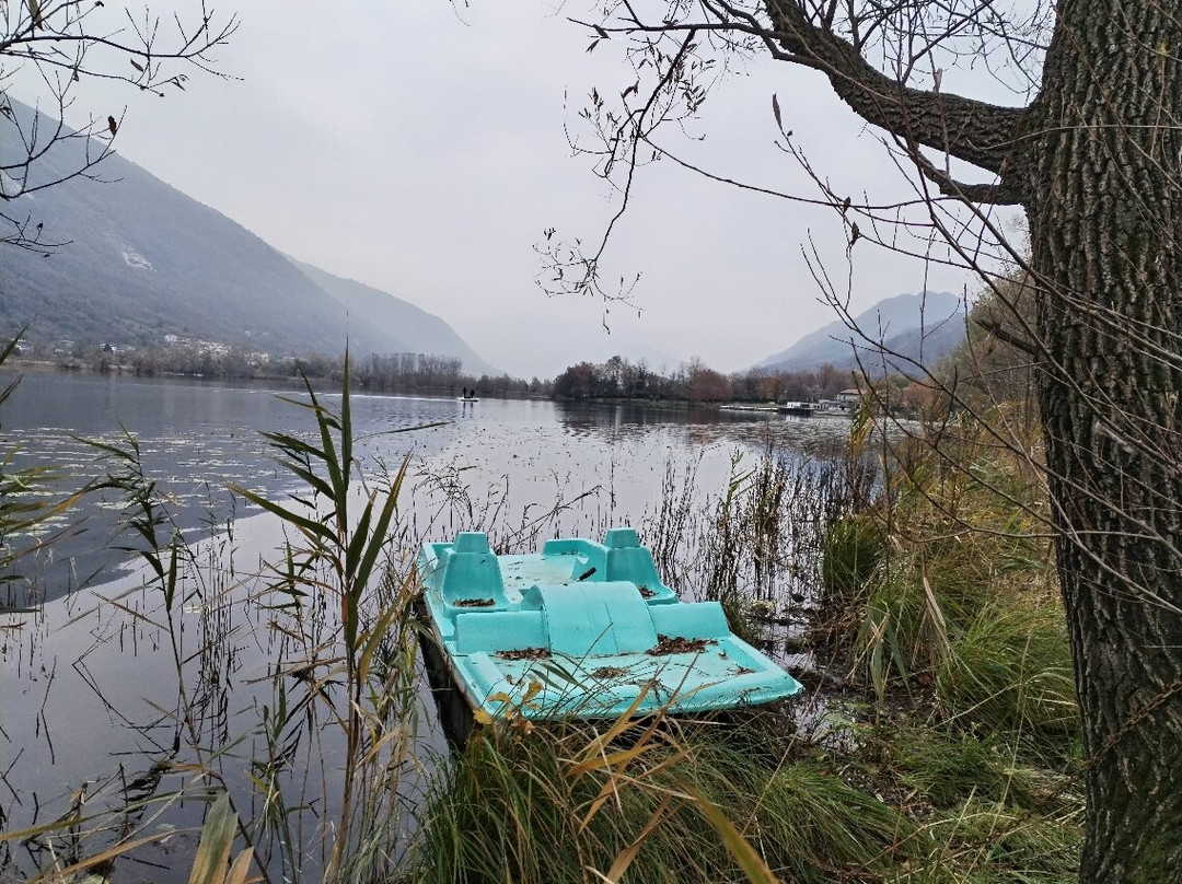 Via Dei Murales Di Tarzo
