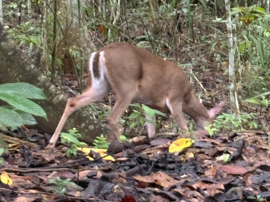 Metropolitan National Park-巴拿马城必去景点
