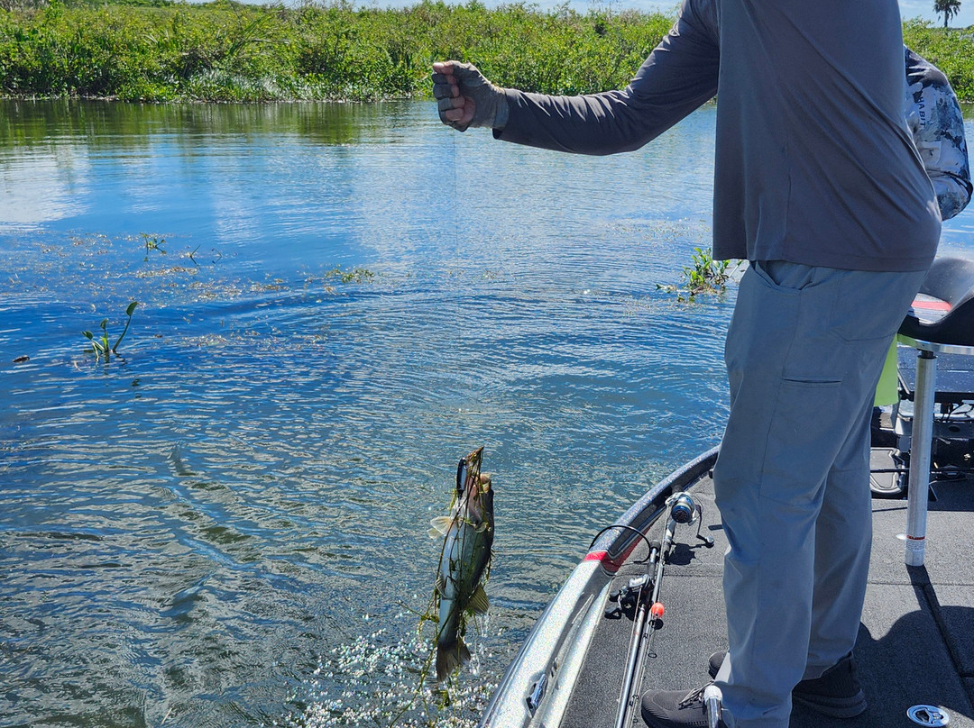 Okeechobee Bass Guide Service-奥基乔比必去景点