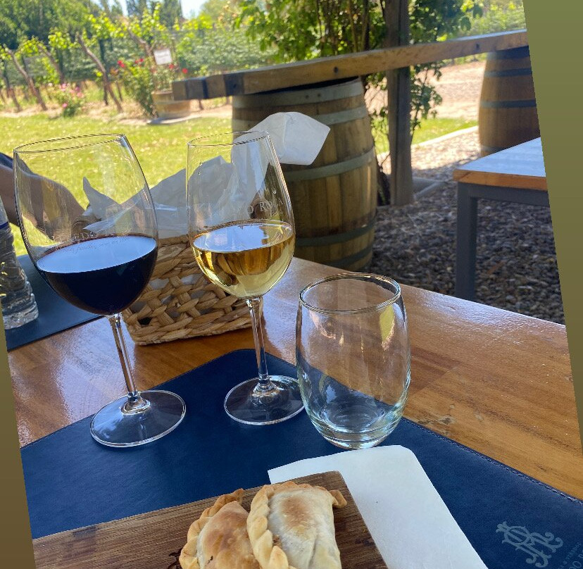 Bodega Alfredo Roca-圣拉斐尔必去景点