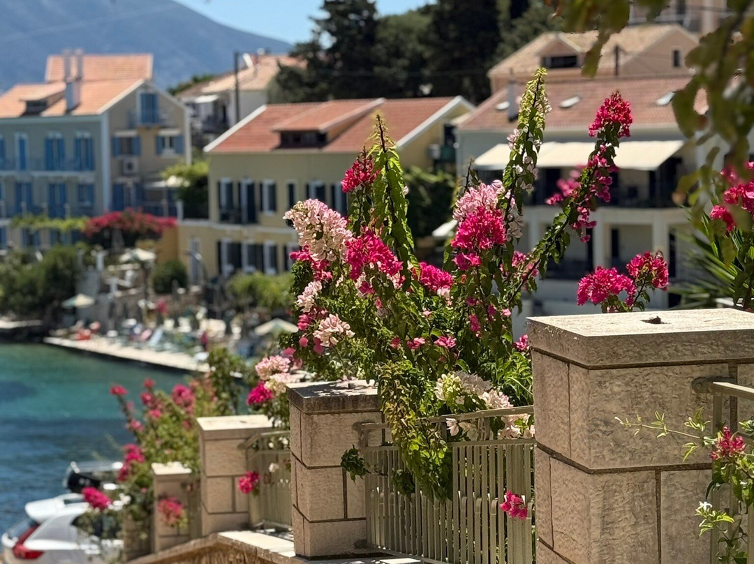 Fiscardo Harbor-菲斯卡尔宗必去景点