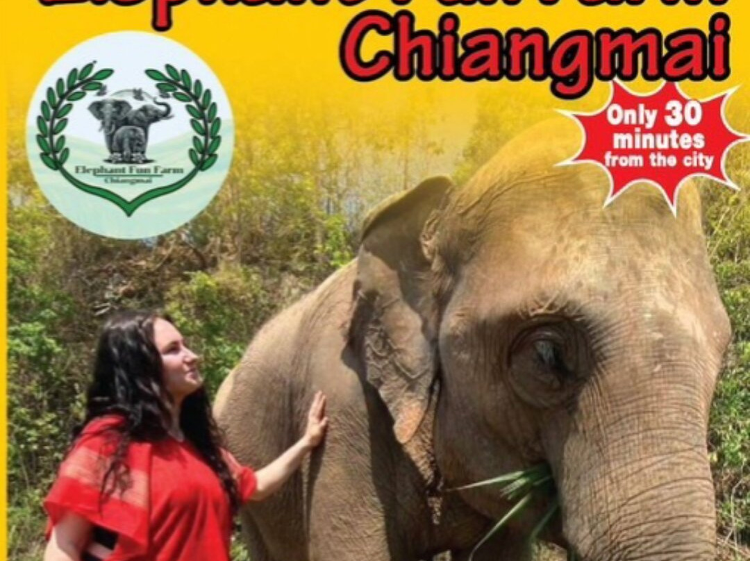 Elephant Fun Farm Chiangmai Thailand-Nam Phrae必去景点