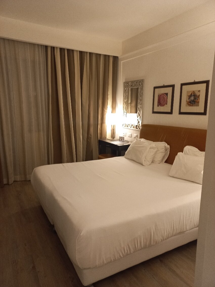 NH帕可德利亚拉戈尼希酒店-官方