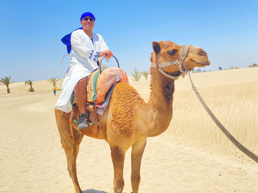 Dromedarius-伊卡必去景点