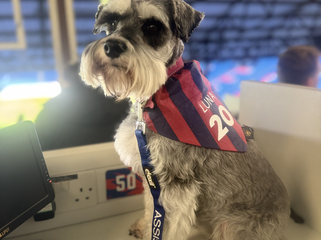 Selhurst Park Stadium Tours-伦敦必去景点