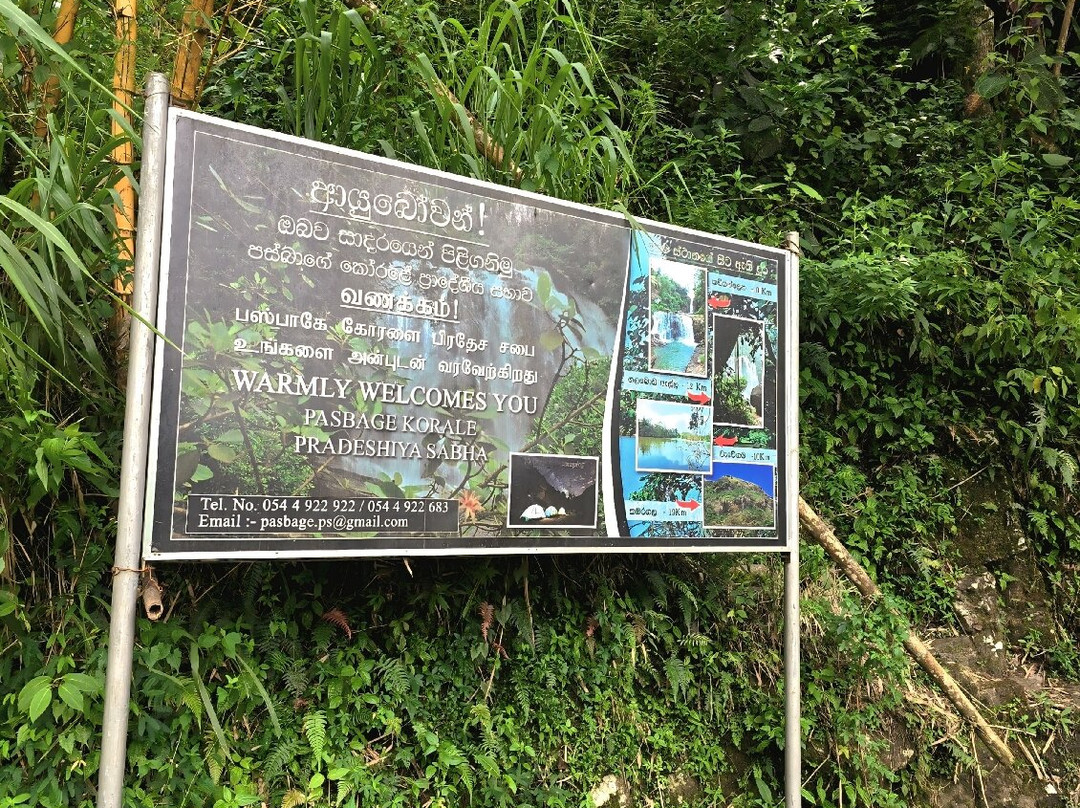 Kadiyanlena Falls-Nawalapitiya必去景点