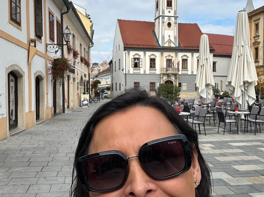 Varazdinska Katedrala Uznesenja Blazene Djevice Marije Na Nebo-Varazdin必去景点