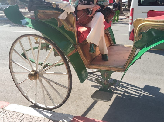 Time To Travel Chile | Agencia de Viajes