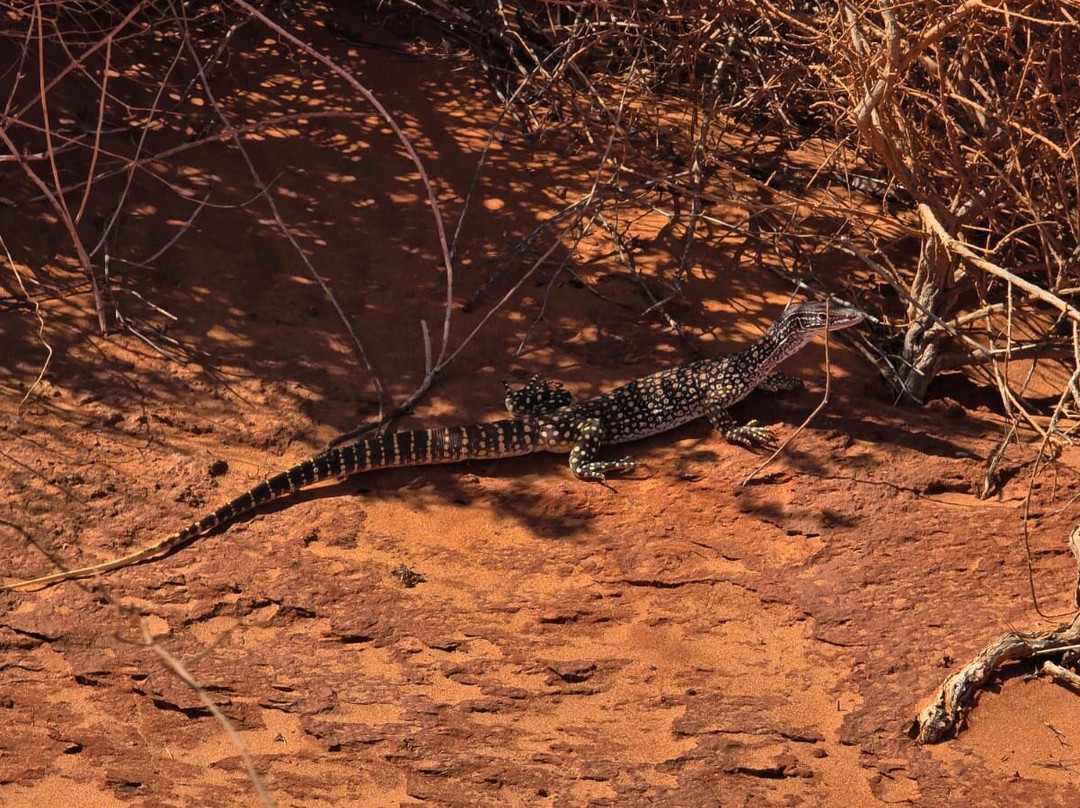 Wildsights-德纳姆必去景点