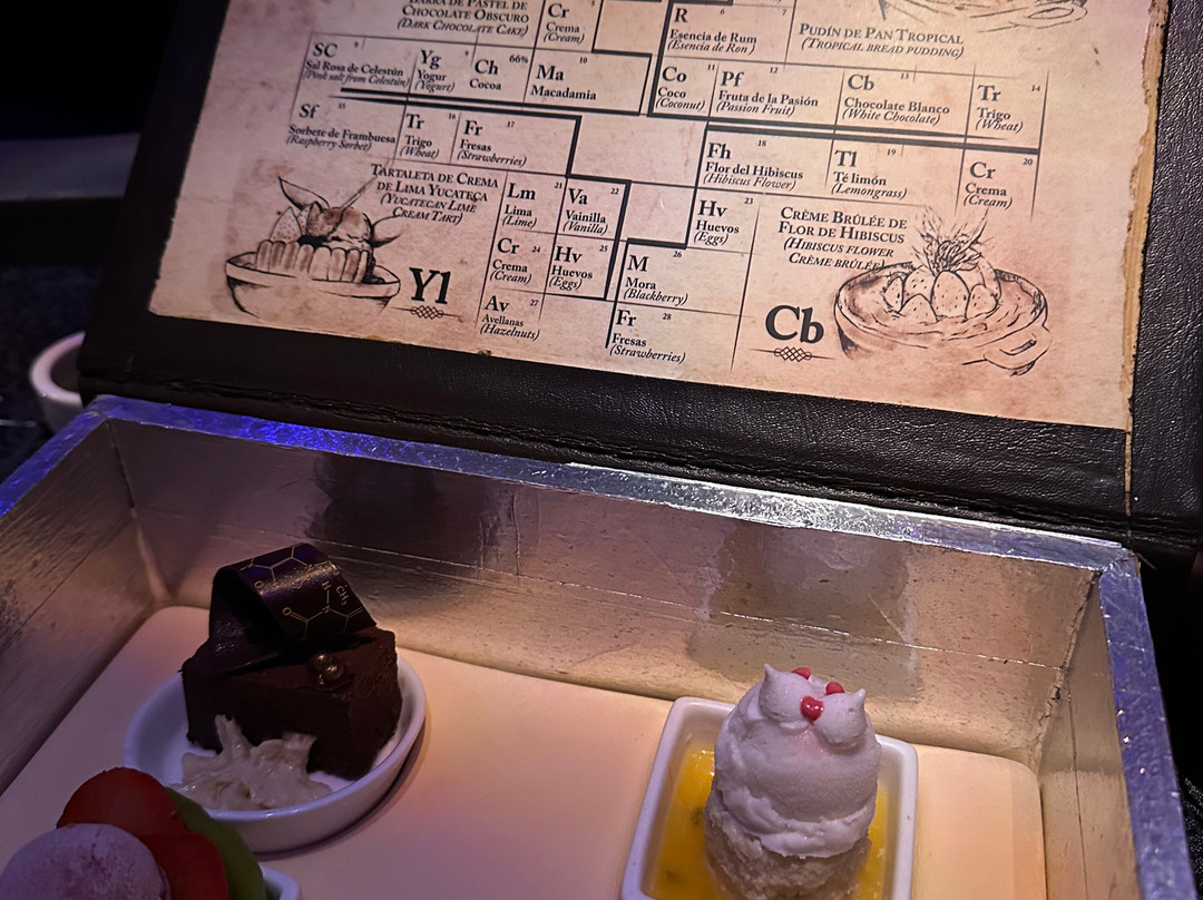 Cirque du Soleil Joyà-普拉亚德尔卡曼必去景点