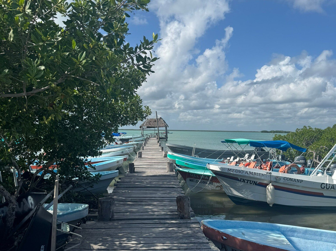 Boutique Tours Mexico-普拉亚德尔卡曼必去景点