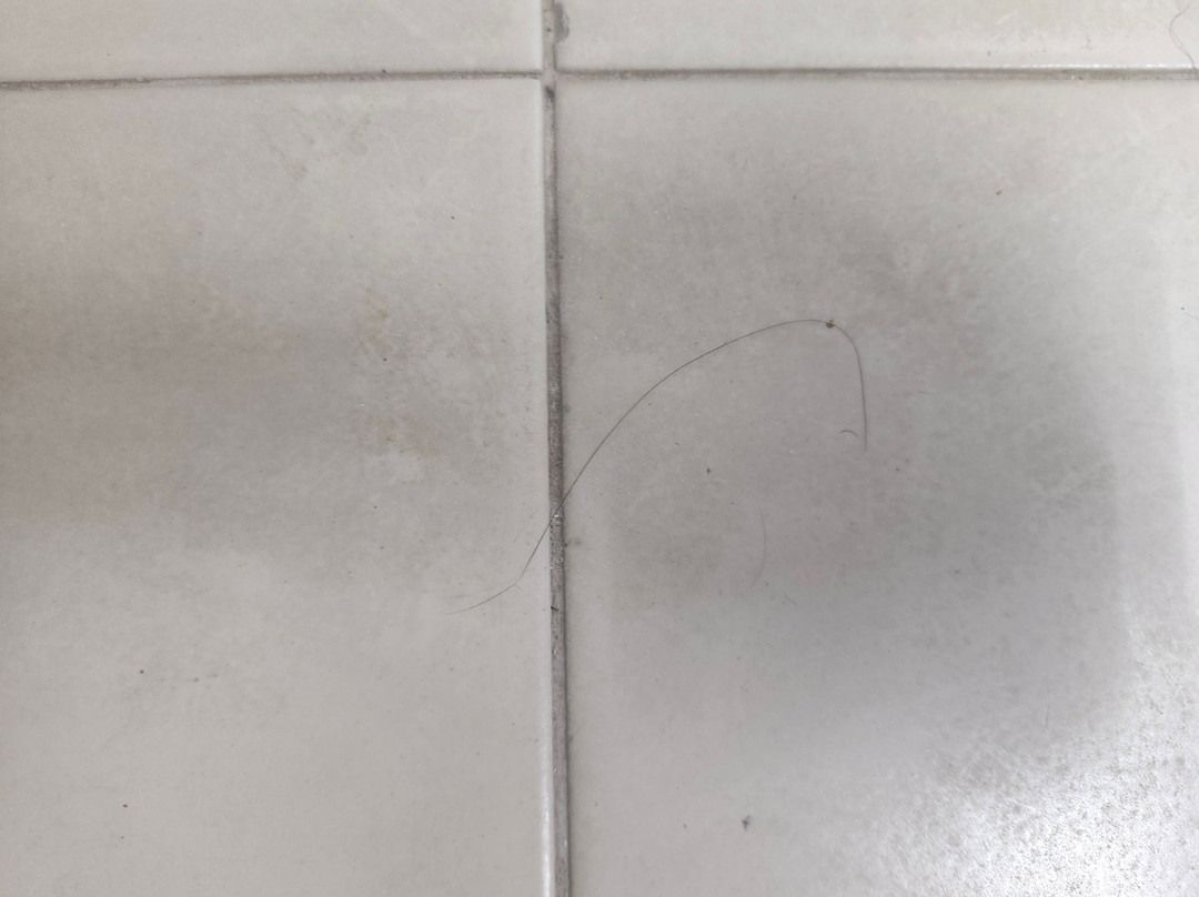 Casa Marina Beach & Reef主图