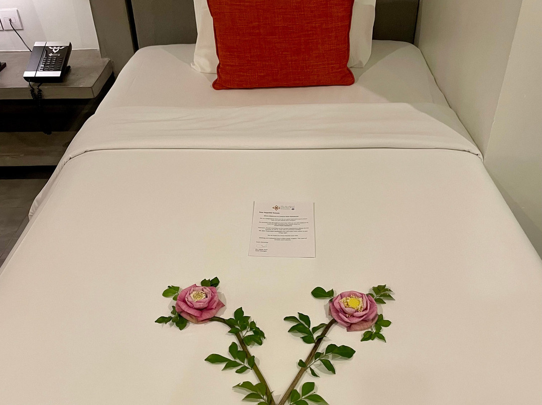 中央套房公寓主图