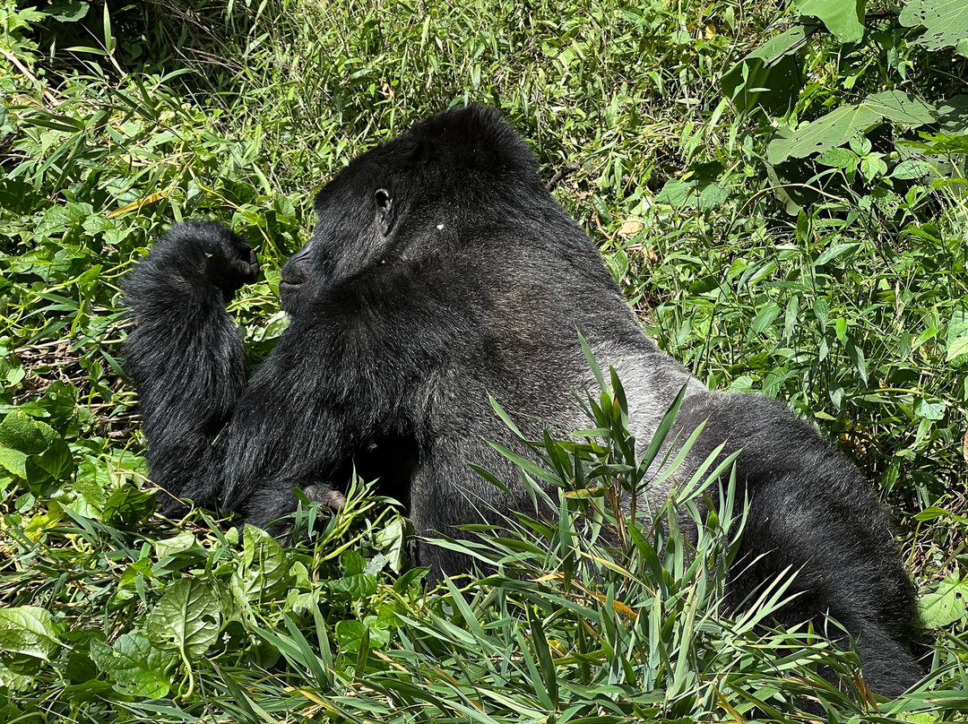 Insight Safari Holidays-Kanungu必去景点