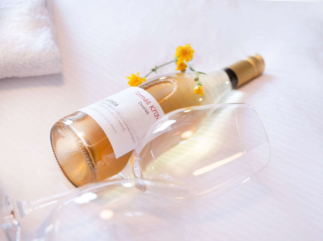 Penzion & Bistro Dvorek