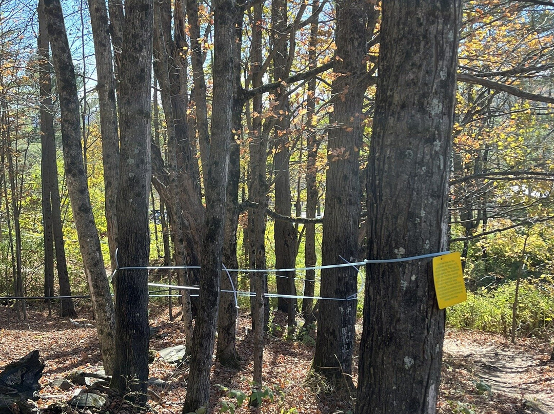 Sugarbush Farm-伍德斯托克必去景点