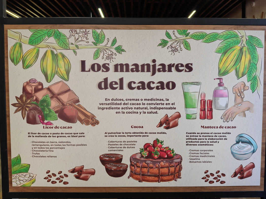 Casa Universitaria Cacao y Chocolate