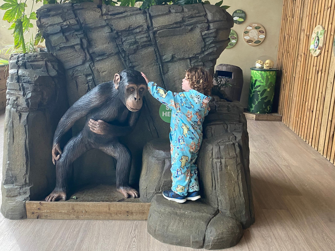 Colchester Zoo-科尔切斯特必去景点