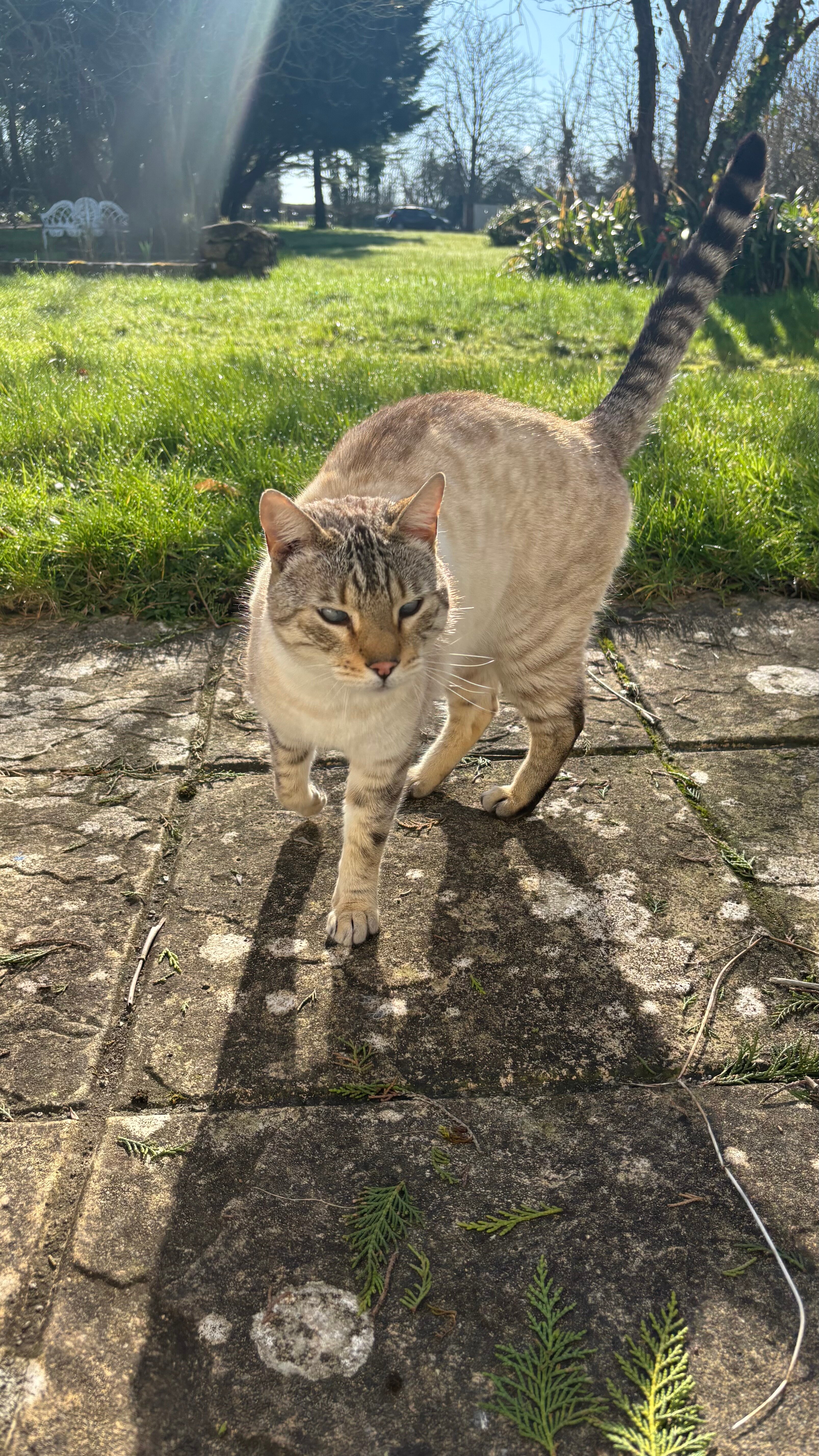 Middle Piccadilly Rural Retreat-官方