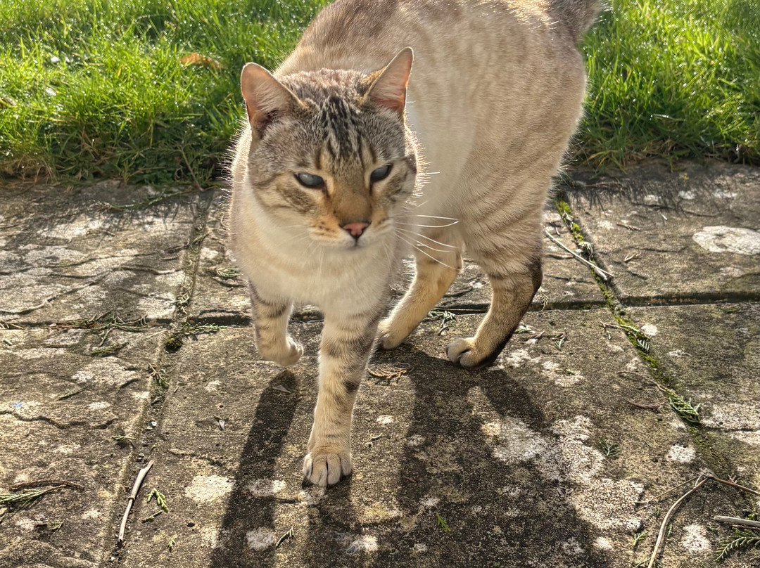 Middle Piccadilly Rural Retreat主图