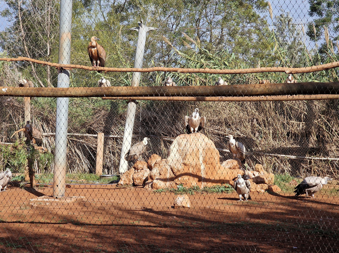Jardin Zoologique de Rabat-拉巴特必去景点