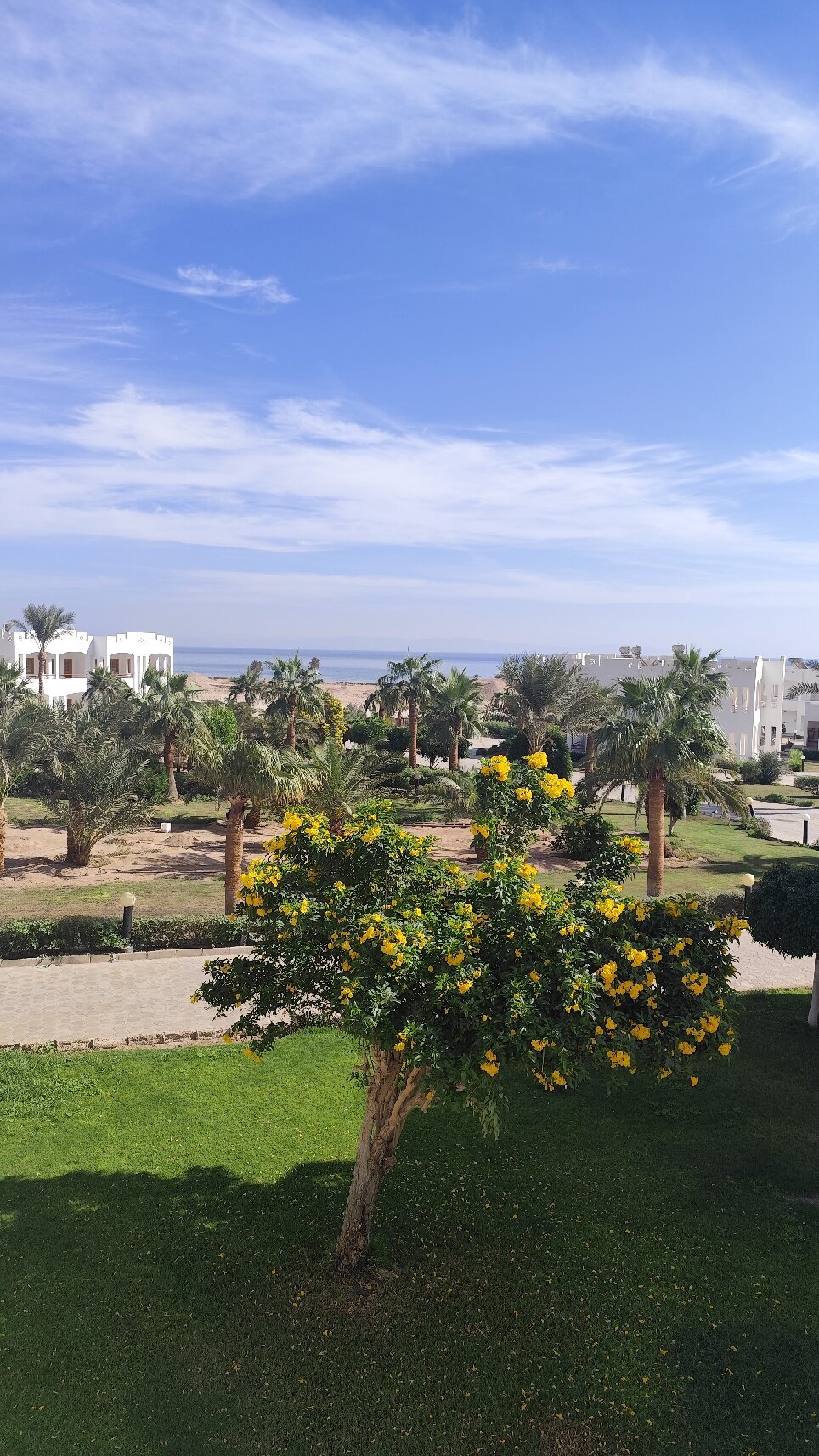 Happy Life Village-官方