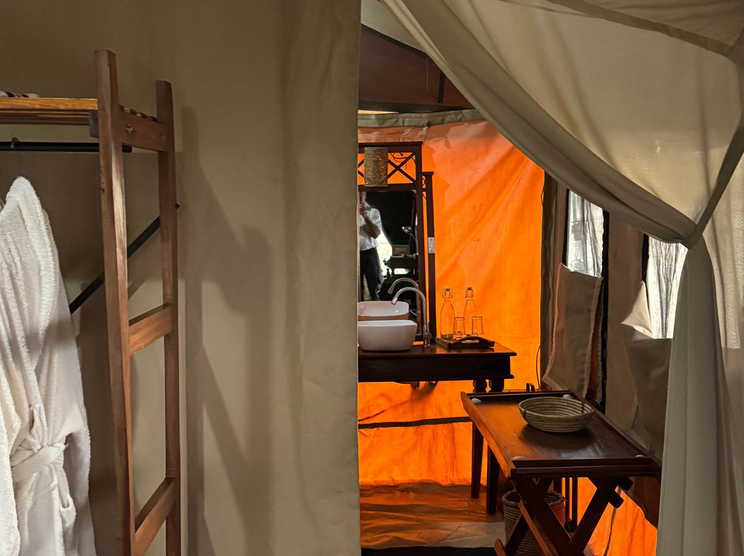 Julius Solomon Safari Guide-Ngorongoro必去景点