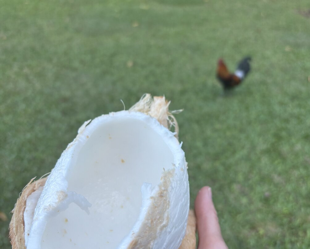 Ha'ena State Park-可爱岛必去景点