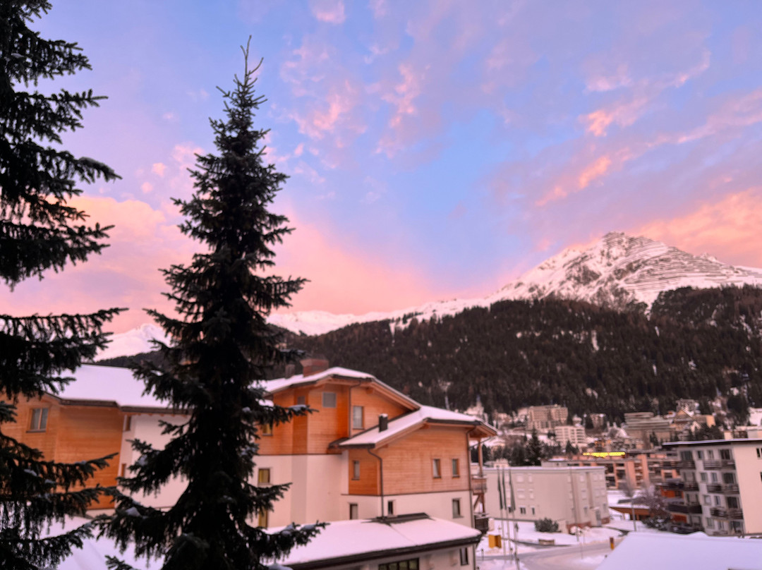 喜来登达沃斯瓦尔德胡斯酒店主图