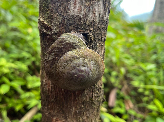 Concierge Conexion PR-圣胡安必去景点