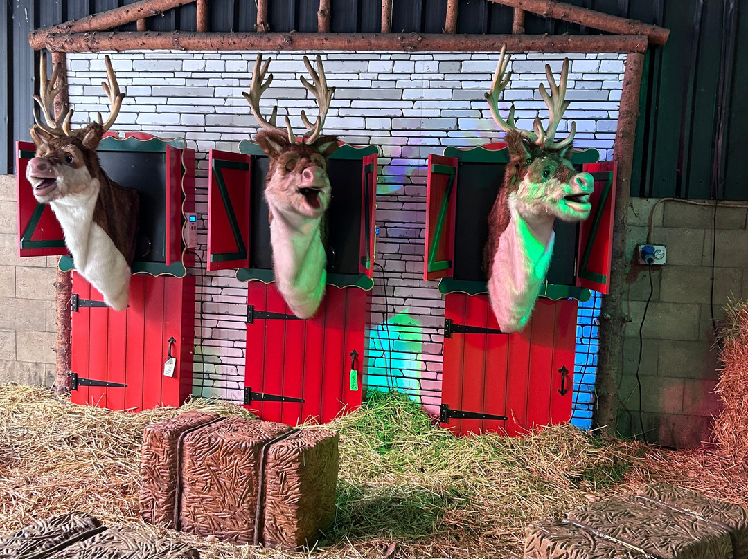 Statfold Country Park-塔姆沃思必去景点