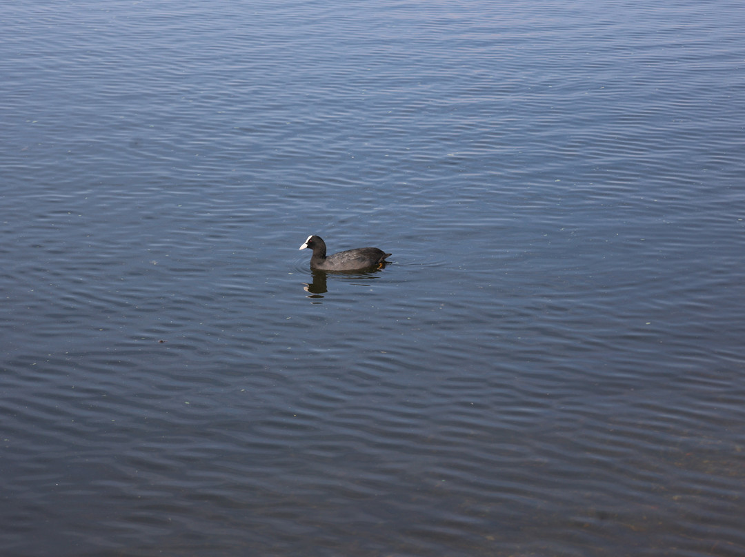 Parco Naturale del Lago di Candia-Candia Canavese必去景点