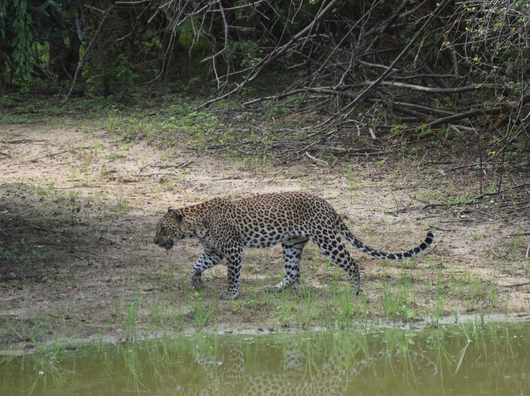 Gesha Tours Sri Lanka-Panadura必去景点