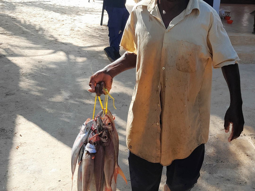 Dive Point Zanzibar-Matemwe必去景点