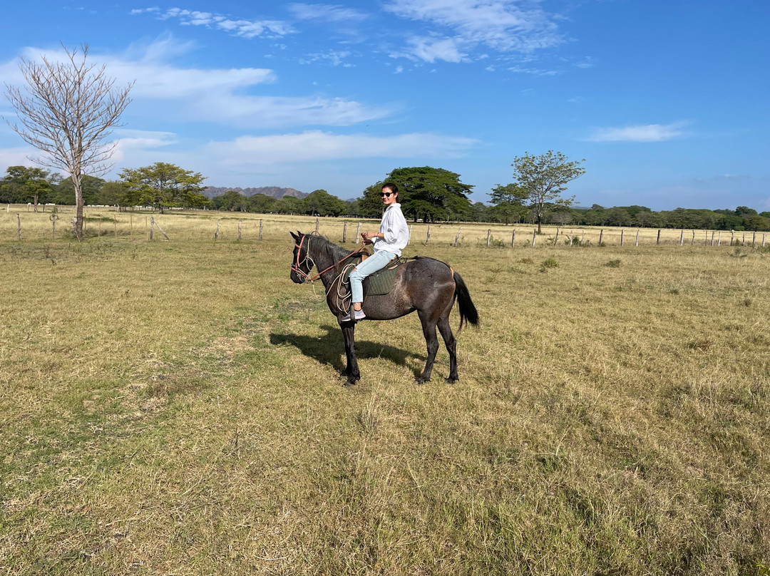 Finca La Esperanza-萨迪纳尔必去景点