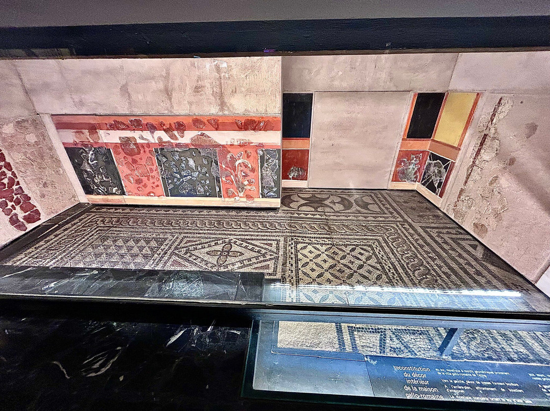 Museum of La Cour d'Or-梅斯必去景点